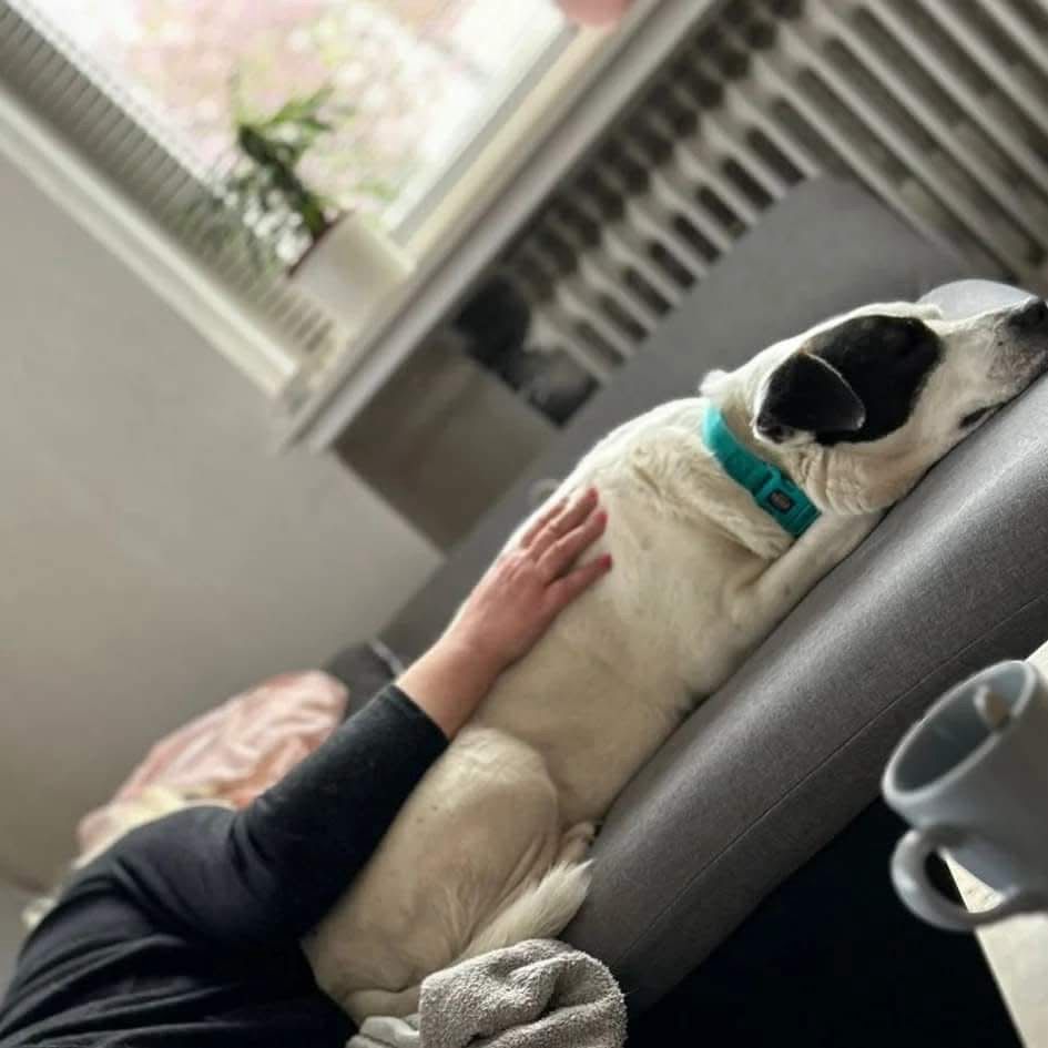 giselle and me sofa