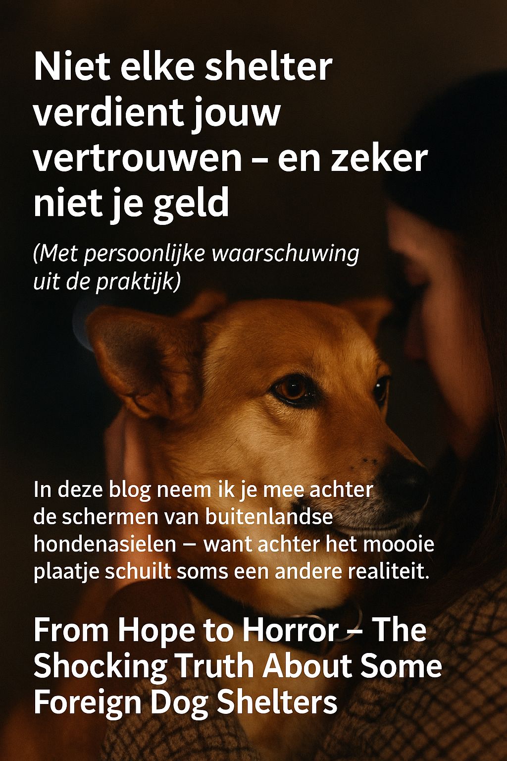 Waarschuwing over buitenlandse hondenshelters - niet elke organisatie is betrouwbaar